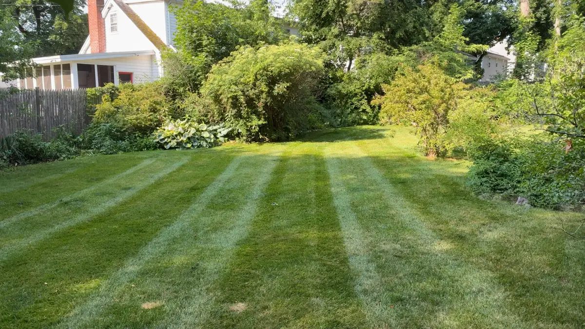 Backyard lawn mowed in clean, even stripes