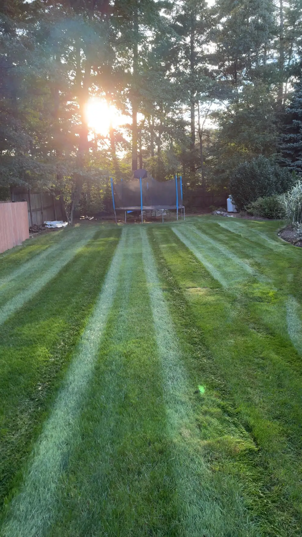 Striped backyard lawn at sunset after a weekly mow